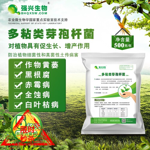 强兴多粘类芽孢杆菌防治青枯病枯萎病根腐病软腐黄叶病等土传病害