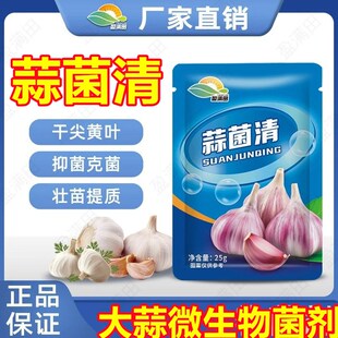 盈满田蒜菌清原液大祘专用微生物菌剂源夜葱姜生养根壮苗提质高产