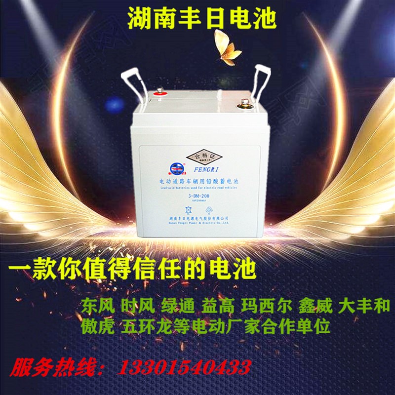 丰日免维护铅酸电池V8VV 干水四轮电动车