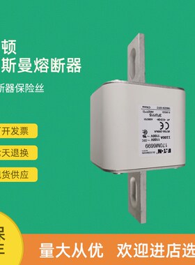 全新快速熔断器保险170M6921 170M6922 170M6923 170M6924