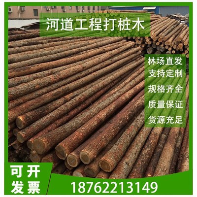 杉木桩河道打桩木原木桩河道护岸护坡防汛工程木桩绿化杉木支撑杆