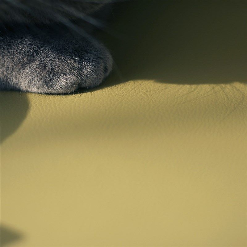 新型防水科技布沙发防猫抓沙发罩笠四季通用隔尿全包沙发垫,居家布艺,沙发套,淘宝优惠券,粉丝福利购,淘宝优惠卷