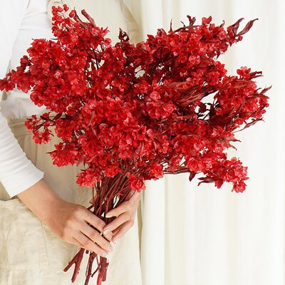 迎客豆蝴蝶干束级感真客厅新年装饰红色婚庆永生