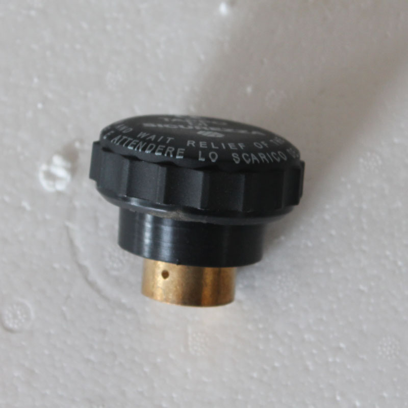 电加热蒸汽锅炉熨斗T-75/7/-/95型专用蒸汽安全 工厂原装