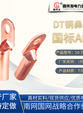 铜鼻子厂标DT9平方mm铜线耳接头接线端子