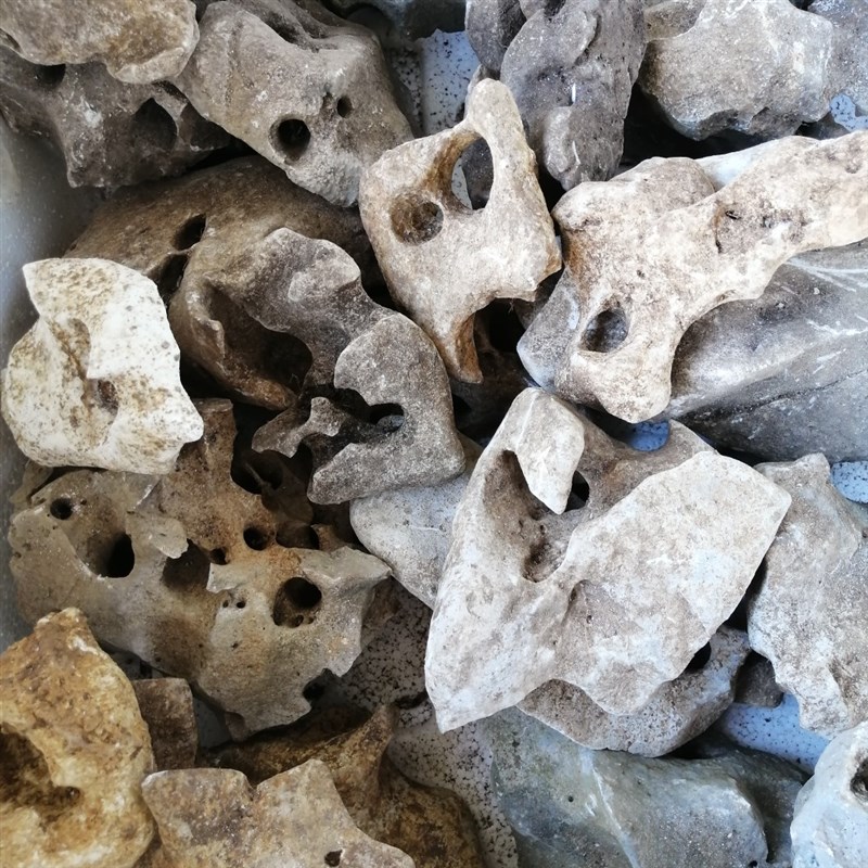 太湖石原石小石头客厅摆件花盆太湖奇石鱼缸菖蒲植物附石假山盆景