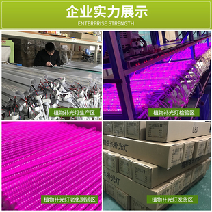 全光谱灯管生长灯三排LED室内家用卉上色多肉补光灯