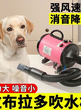 拉布拉多专用狗狗吹水机大型犬家用吹风机宠物洗澡烘干神器烘干机