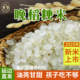 正宗粳米新米东北大米延边大米一级圆粒农家粳米煮粥香梗米10斤