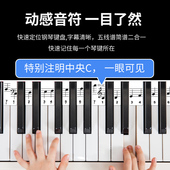 键钢琴键盘纸五线谱简谱免粘电钢琴音符条儿童初学键盘条