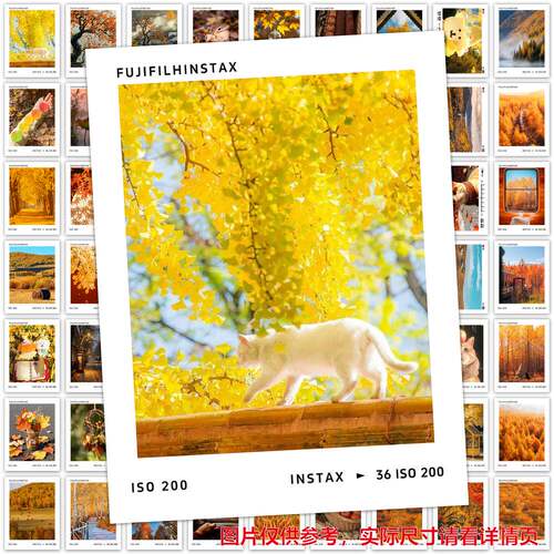 126张秋天风景拍立得富士INSTAX照片贴纸秋天风景小猫手账贴画