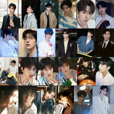 126张垂涎邱鼎杰拍立得贴纸