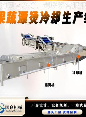 皮速冻子工厂蔬青菜漂烫生产线 鱼漂烫RYP设备包 果杀青流水线