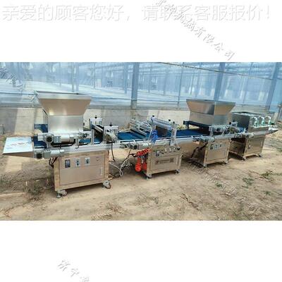 自动穴盘育BUB苗播种机中药种子育秧点全洒播机带水材育苗点种机