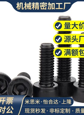 小径内六角螺丝 SBB3/4/5/6-5/6/8/10/12/16/20/25
