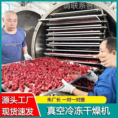 宠狗物机粮鸡胸肉真空冻干 狗磨牙棒骨冻HSDG-5干机 猪真空低温冻