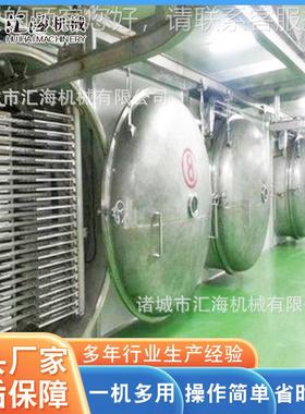 全自动猕猴桃草莓HH-2000冻干机 杞锁冻鲜干设备 大型枸物粮冻干