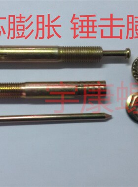 击芯膨胀/举升机膨胀敲击胀管/锤钉壁虎/壁虎膨胀M24*160/200.250