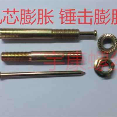 击芯膨胀/举升机膨胀敲击胀管/锤钉壁虎/壁虎膨胀M24*160/200.250