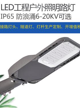 LED外贸工程款可调角度路灯头压铸新款防雷6-20KV市电路灯