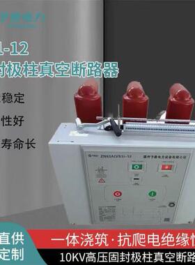 VS1-12/2500-31.5高压户内真空断路器10KV柜内开关固定价格