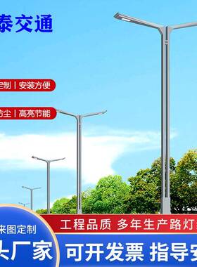8米10米12米双臂单臂路灯城市道路市政工程LED路灯厂家