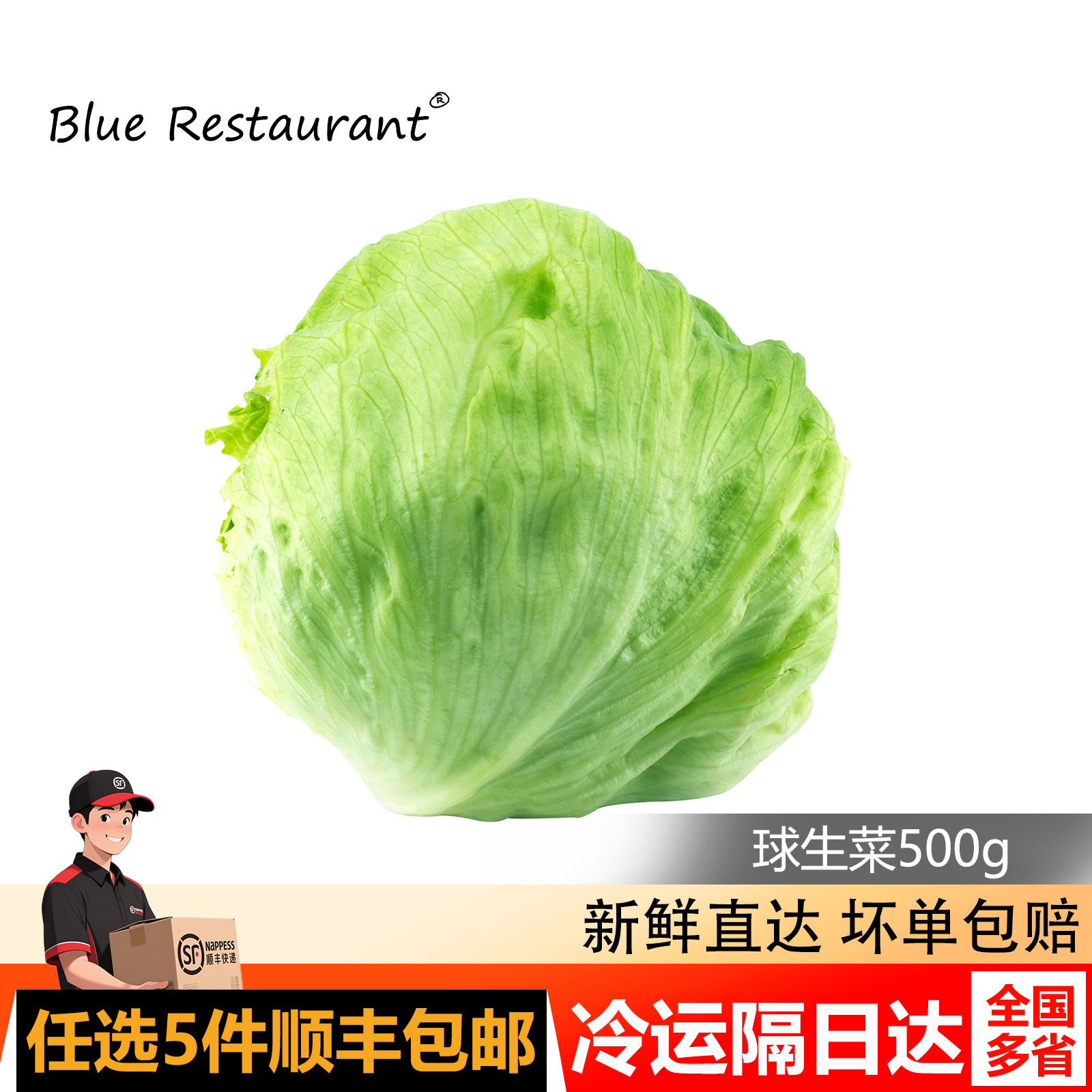 蓝餐厅新鲜球生菜圆生菜西生菜