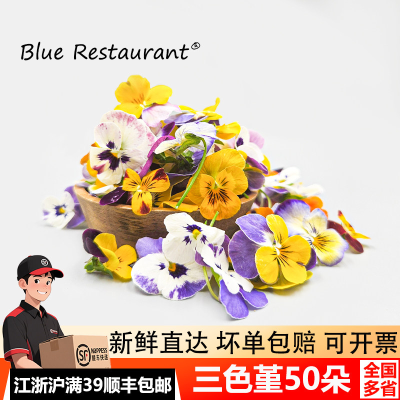 蓝餐厅新鲜摆盘装饰花草三色堇