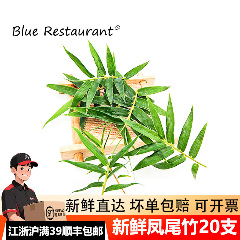 新鲜凤尾竹20片摆盘装饰