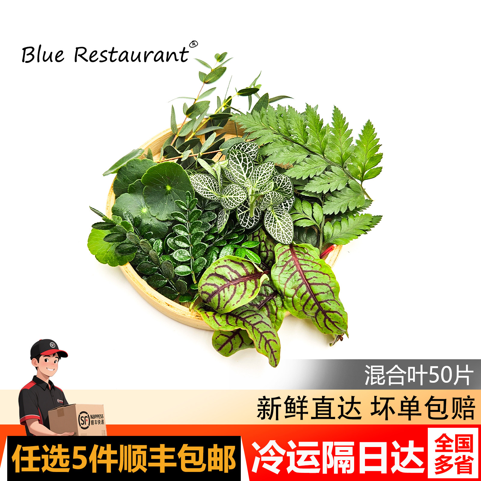 新鲜混合花草清香木芒叶手工拓然