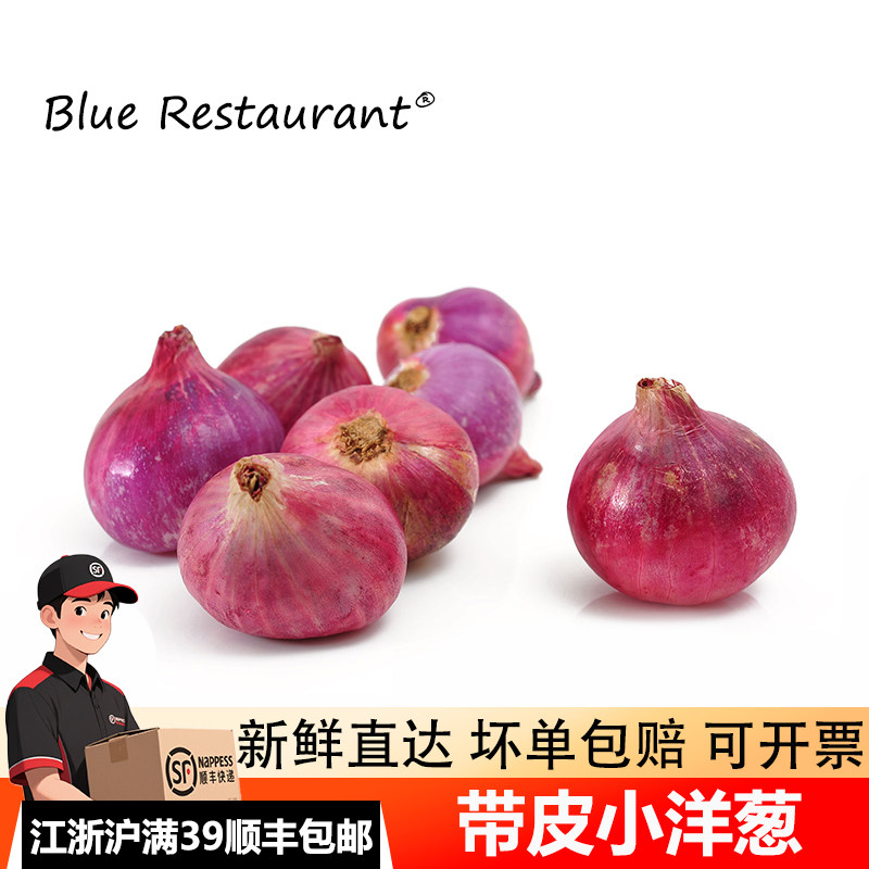 蓝餐厅迷你小洋葱500g 新鲜生吃东北毛葱朱葱鬼子葱小圆葱