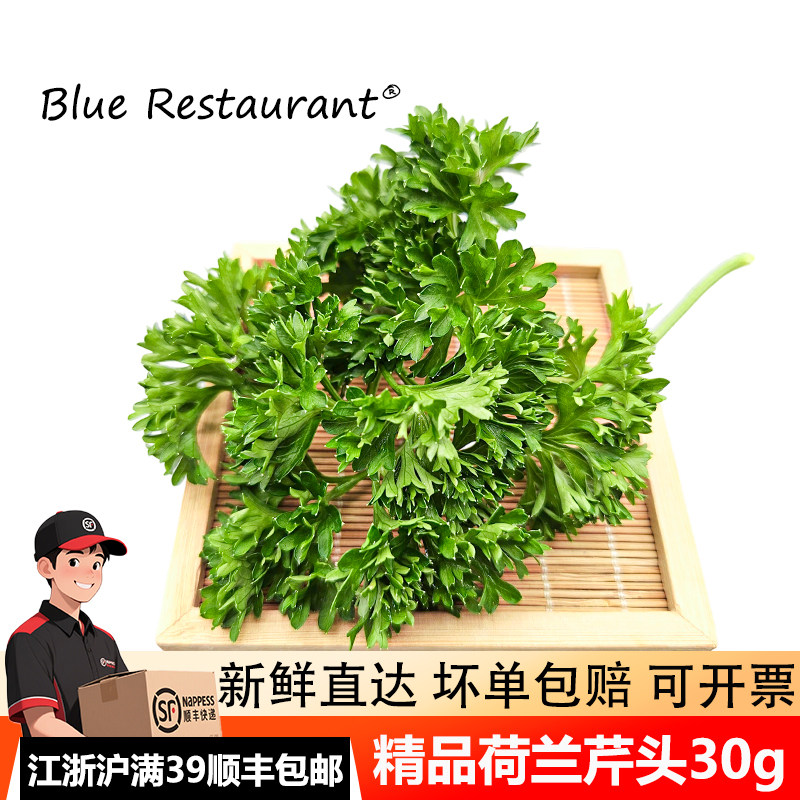 精选法香荷兰芹头刺身三文鱼装饰
