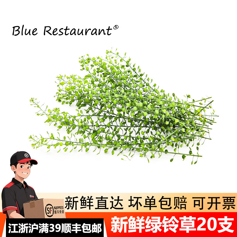 新鲜绿铃草20支蛋糕装饰叶子摆盘花草西餐厅精致冷盘甜品点缀植物,水产肉类/新鲜蔬果/熟食,其它,淘宝优惠券,粉丝福利购,淘宝优惠卷