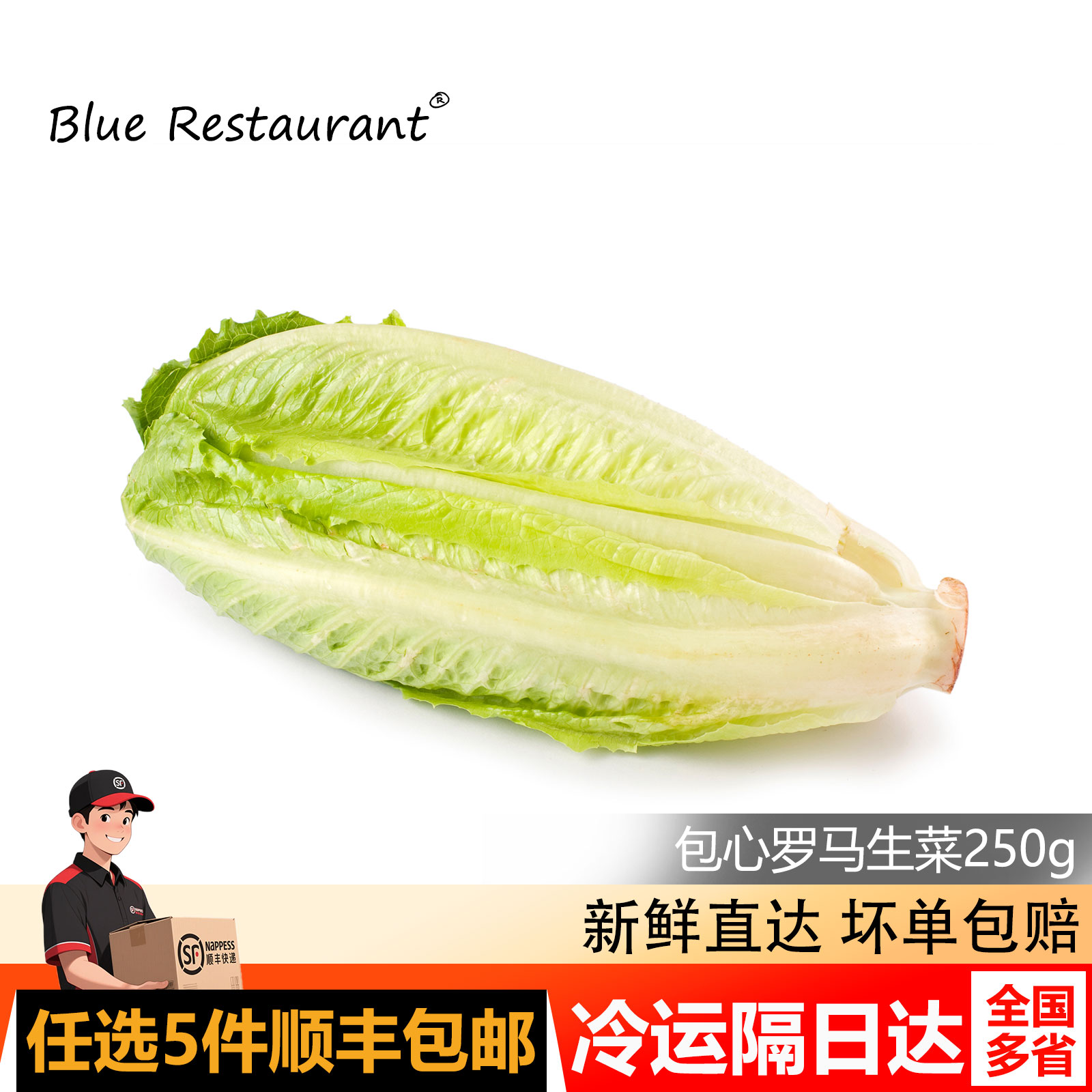 蓝餐厅新鲜包心罗马生菜