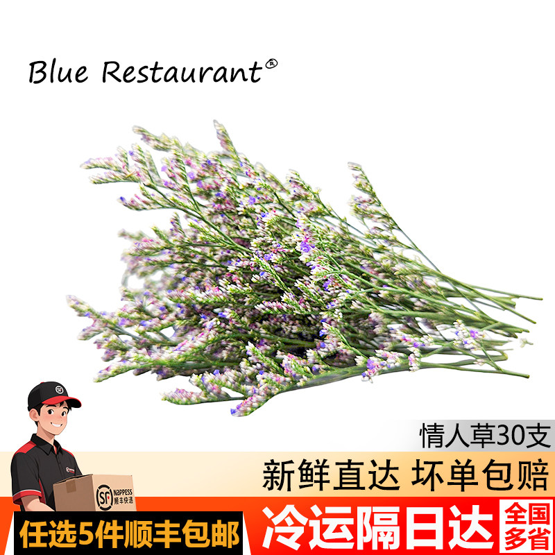 情人草新新鲜花日料摆盘装饰点缀