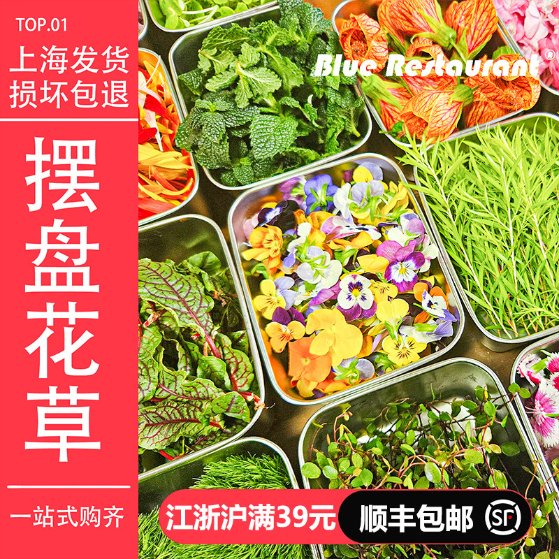 蓝餐厅新鲜薄荷芽清香木叶子