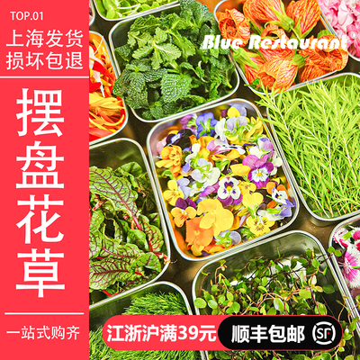 蓝餐厅新鲜薄荷芽清香木叶子
