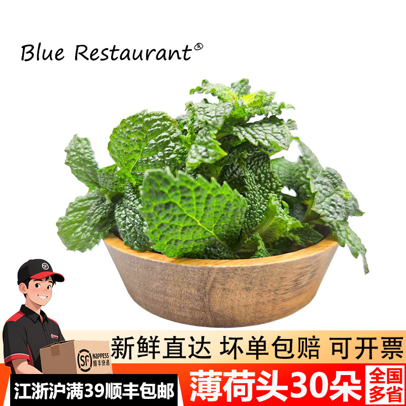 新鲜薄荷头蛋糕装饰鸡尾酒调味