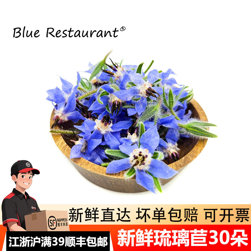 新鲜琉璃苣30朵摆盘装饰点缀