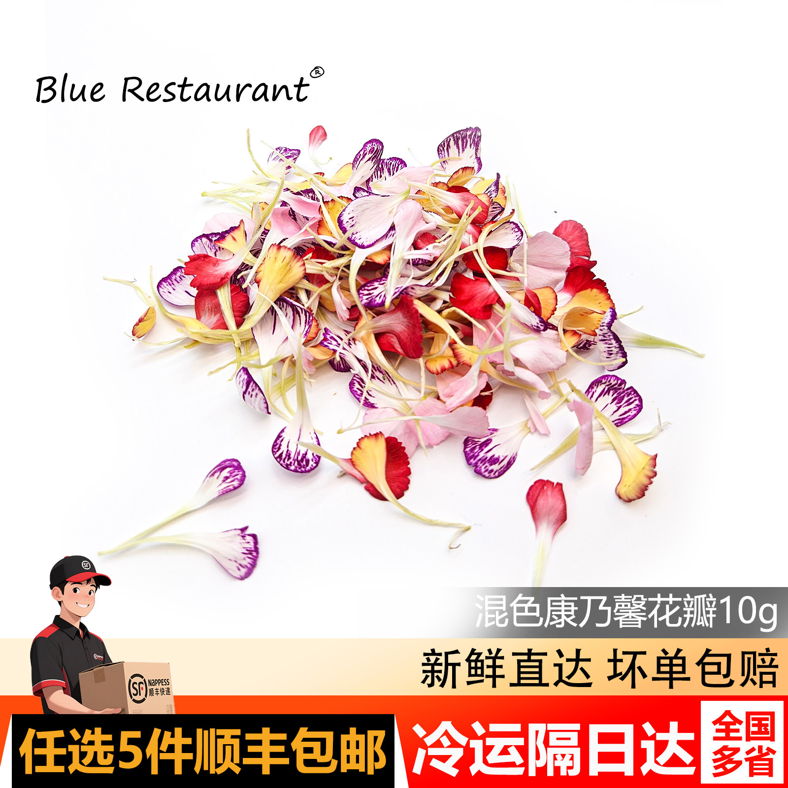 混色康乃馨花瓣装饰摆件