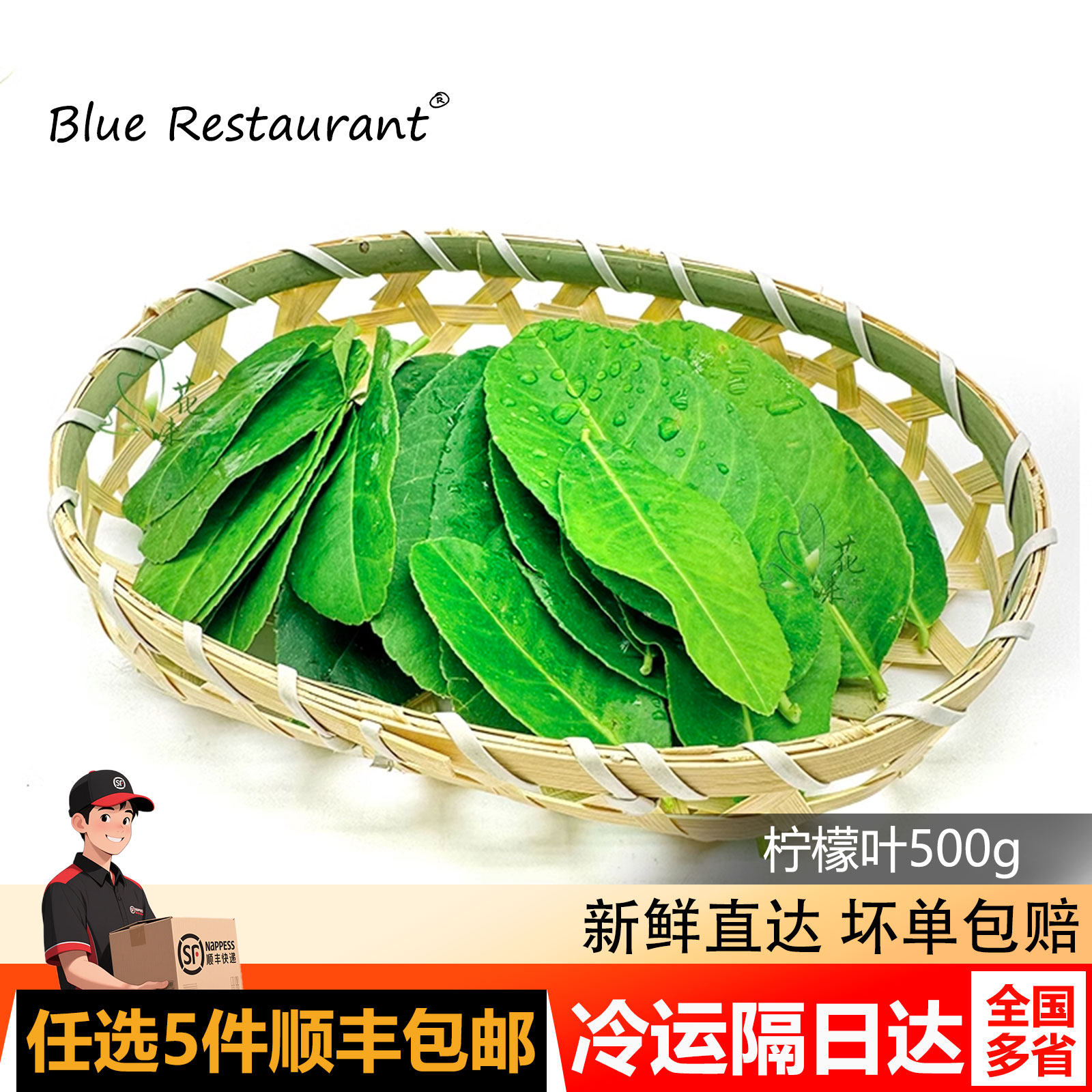 柠檬叶香水柠檬叶子冬阴功食材