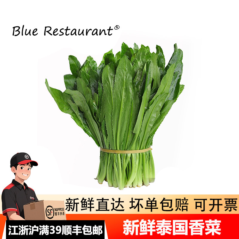 新鲜蔬菜调味芫荽香料