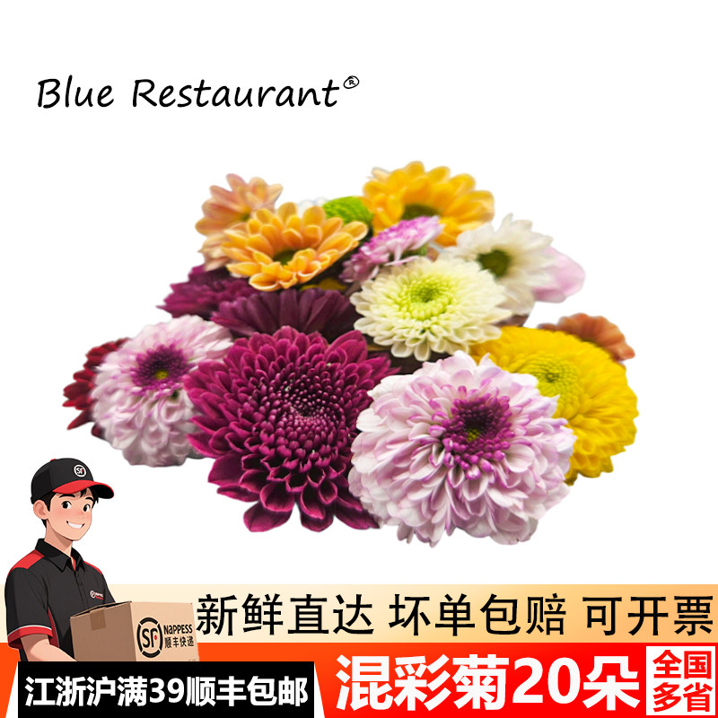 新鲜彩菊雏菊刺身三文鱼摆盘装饰