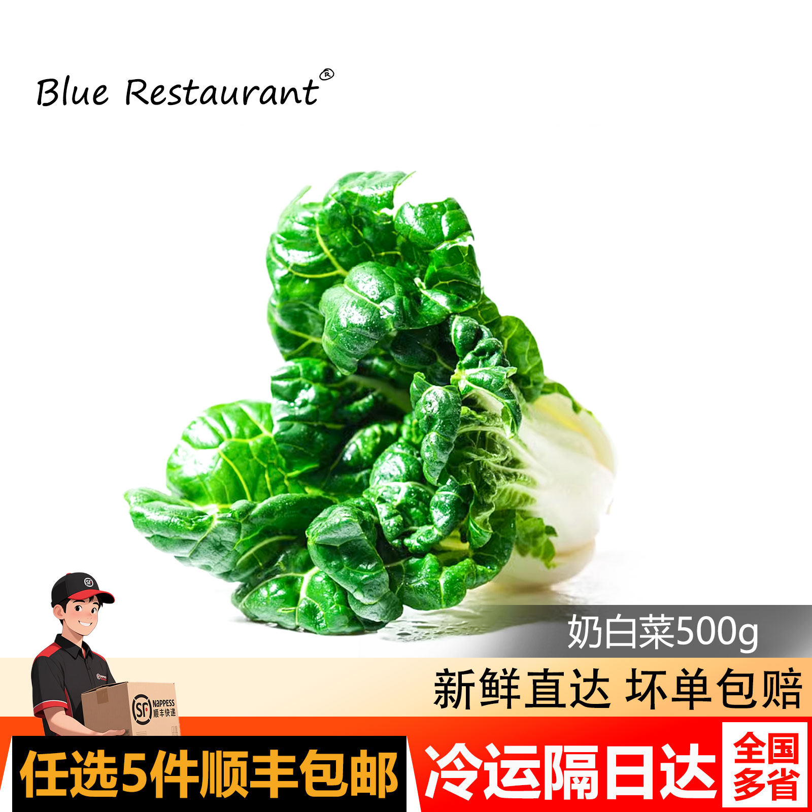 蓝餐厅奶白菜500g宁夏矮脚奶白菜