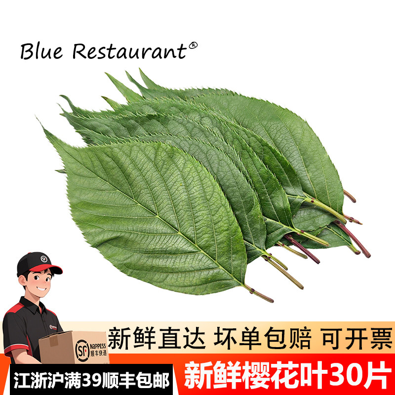 新鲜樱花叶日式料理刺身寿司装饰