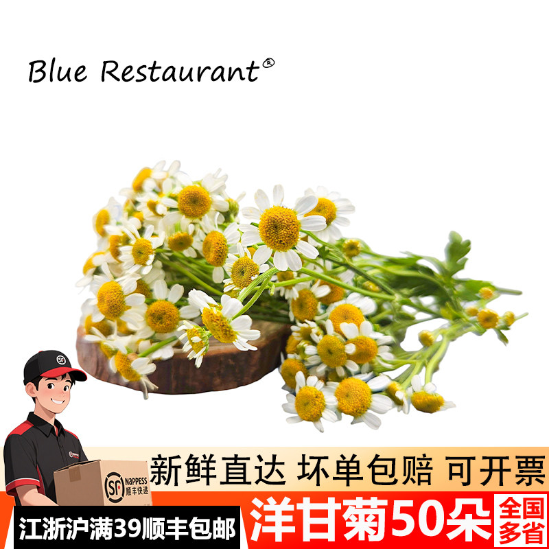 新鲜洋甘菊蛋糕装饰点缀摆盘花草