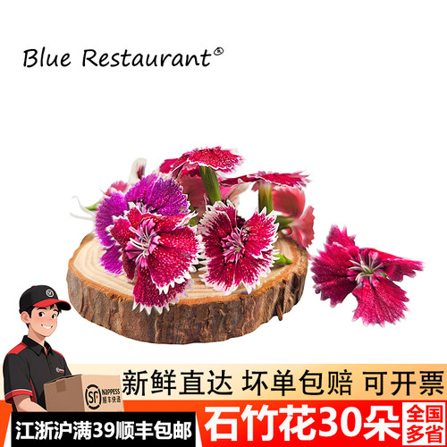 新鲜石竹花30朵摆盘装饰点缀花草