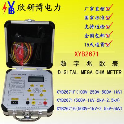 XYB2671数字兆欧表500/1000/2500/5000V摇绝缘电阻测试
