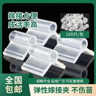 茄子 植物蔬菜瓜果 西瓜甜瓜嫁接夹育苗嫁接夹软质不 天猫正品