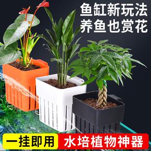 鱼缸水培挂篮鱼缸植物篮水培固定篮水竹定植篮可升降调高度造景装